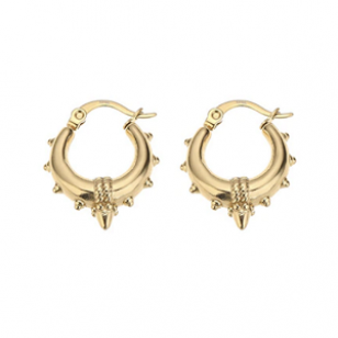 Oorbellen Hoop Rvs 22x18mm